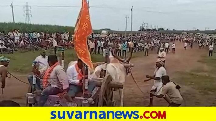 Karnataka High Court Allowed to Cart Race grg Karnataka High Court Allowed to Cart Race grg