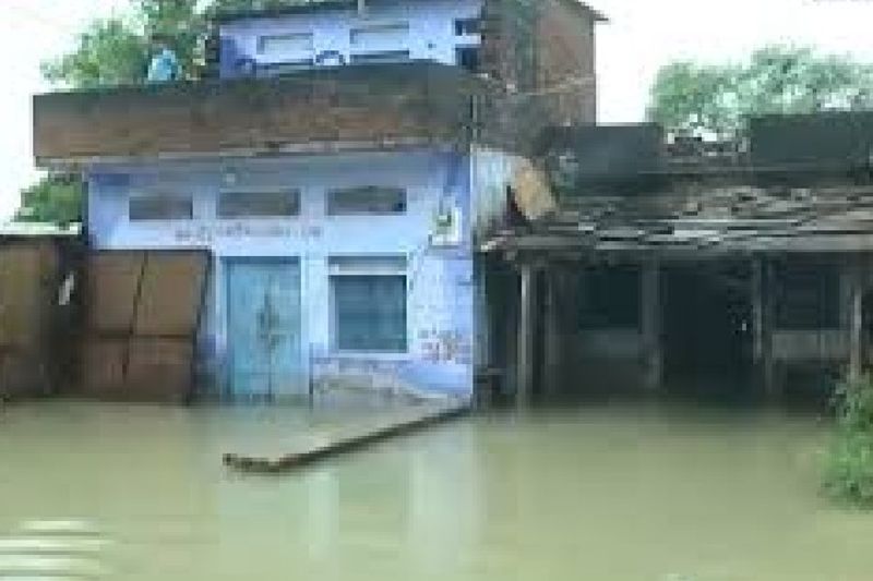 madhya pradesh heavy rain in sheopur meteorological department warning of mp