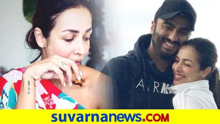 Malaika Arora hosts a special Italian lunch date for beau Arjun Kapoor dpl Malaika Arora hosts a special Italian lunch date for beau Arjun Kapoor dpl