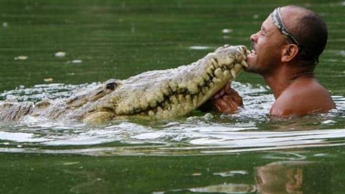 friendship of a man and a crocodile friendship of a man and a crocodile