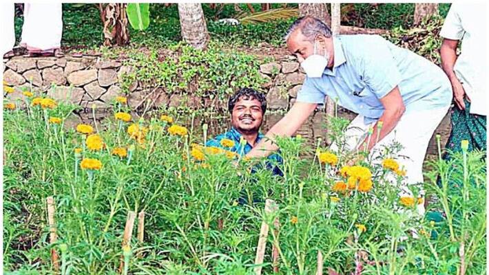 flowers bloom in the flowing garden of Vembanad Lake flowers bloom in the flowing garden of Vembanad Lake