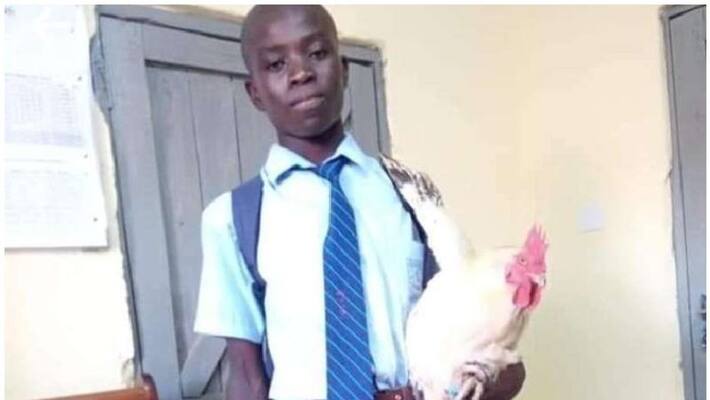 Needy boy gives school cock to reduce his fees Needy boy gives school cock to reduce his fees