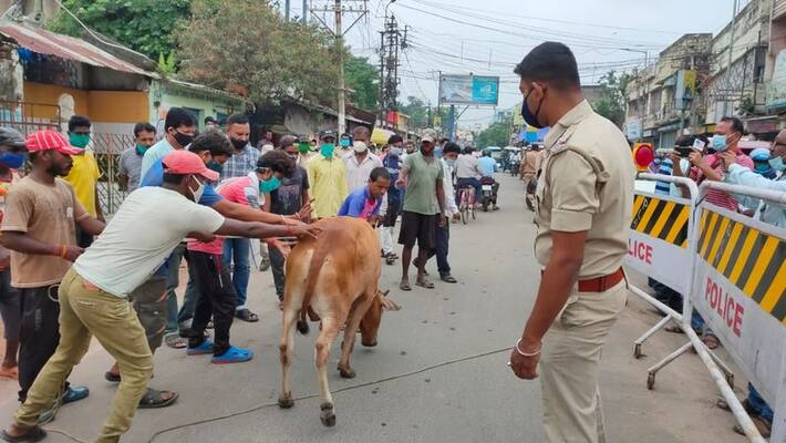 police personnel were out on the streets of Purulia to catch cows bmm police personnel were out on the streets of Purulia to catch cows bmm