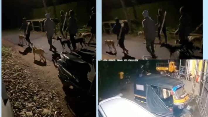 six member team spotted with weapons and dogs in palakkad natives in concern six member team spotted with weapons and dogs in palakkad natives in concern