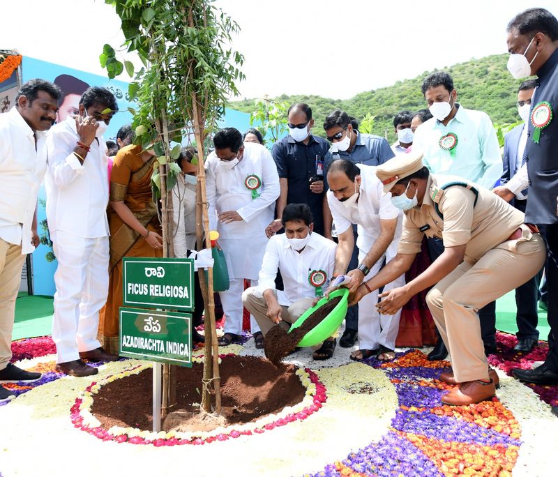 CM YS Jagan launches Jagananna Pacha Thoranam akp