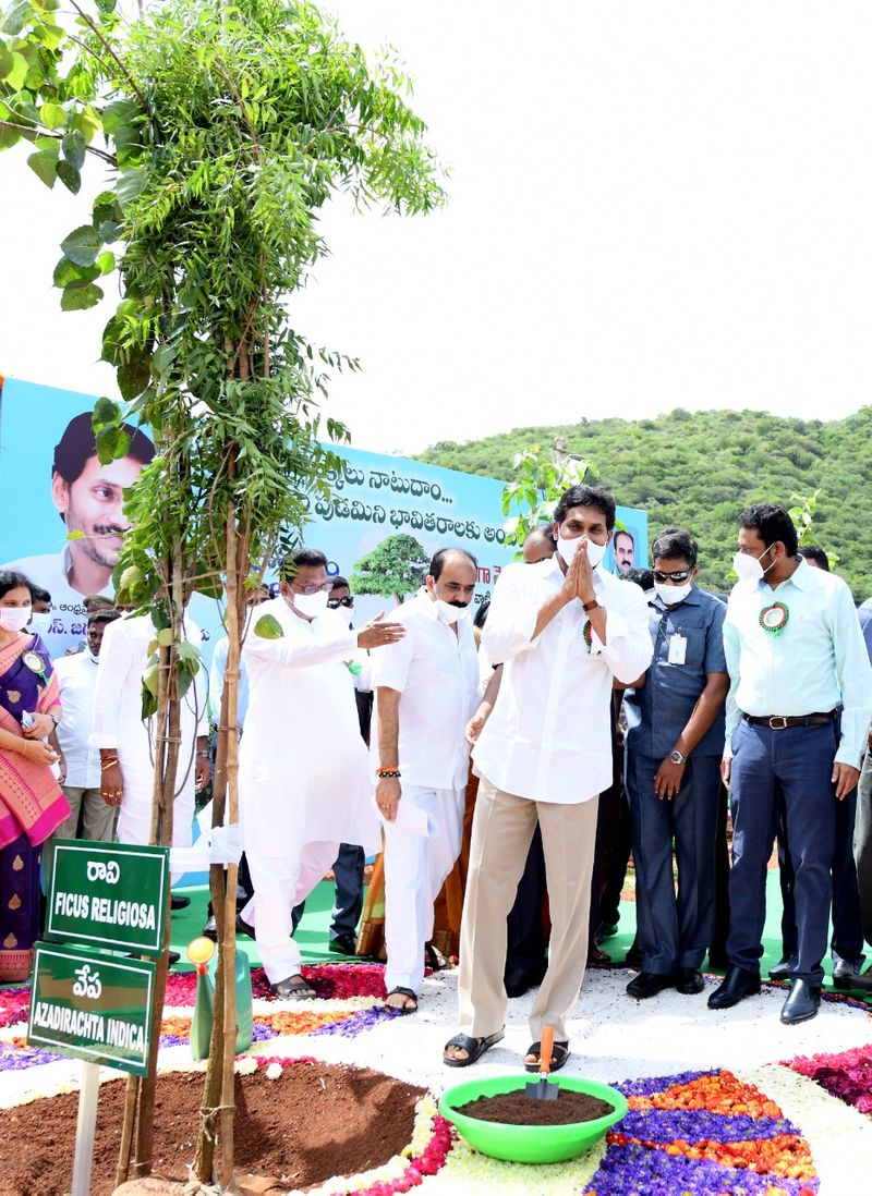 CM YS Jagan launches Jagananna Pacha Thoranam akp
