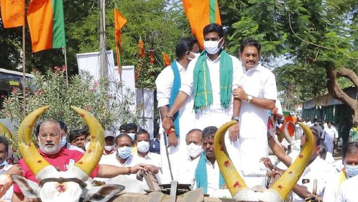tamil nadu bjp president annamalai warned politicians who insult bjp in hunger protest over Mekedatu dam issue tamil nadu bjp president annamalai warned politicians who insult bjp in hunger protest over Mekedatu dam issue