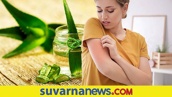 Itching when on bed home remedies to overcome it Itching when on bed home remedies to overcome it