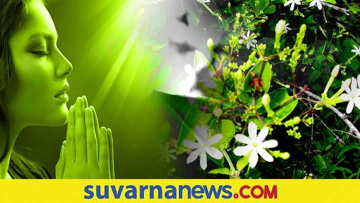 Which flowers to be offered for different hindu deities skr Which flowers to be offered for different hindu deities skr