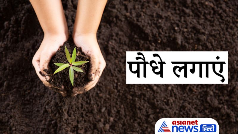 hariyali amavasya on 8th August, do these remedies to get success