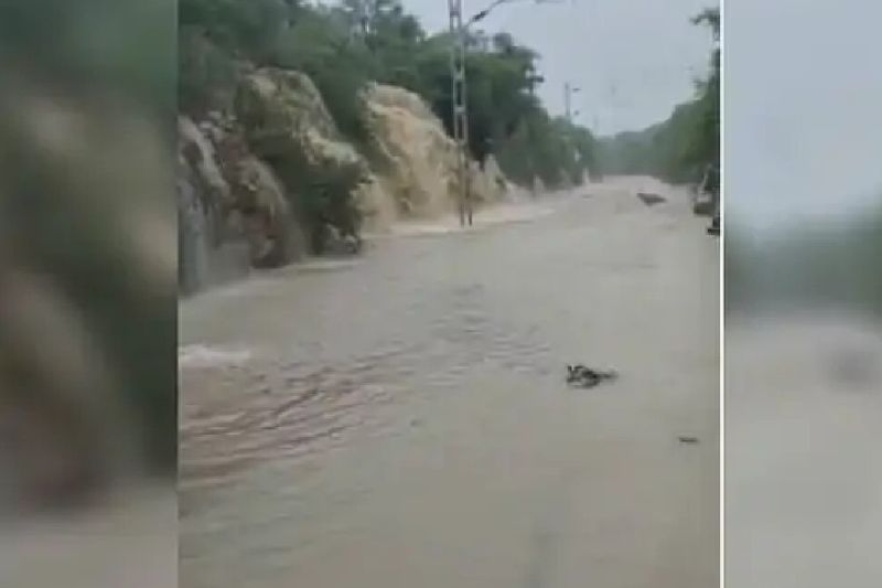 Madhya Pradesh rescue operation photos of heavy rains and flood