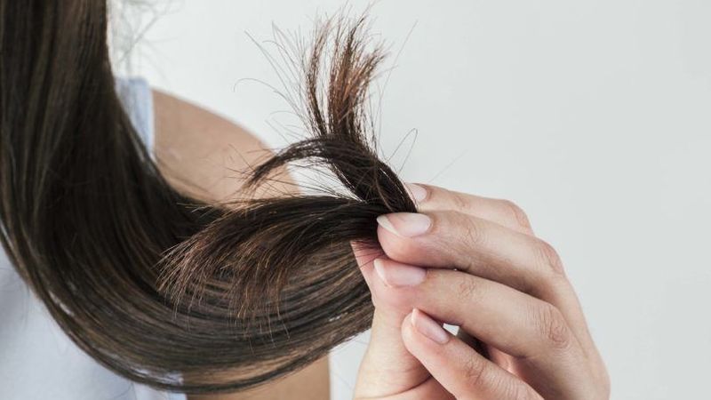 remedies to heal split ends at home