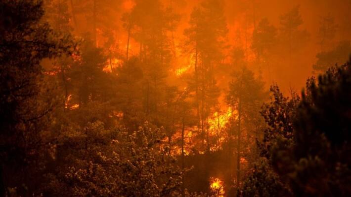 Hundreds Of Families Homeless As Greek Fires Rage Hundreds Of Families Homeless As Greek Fires Rage
