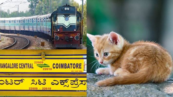 cat cause delay for Coimbatore Mangalore intercity service in Kannur for nearly five minutes cat cause delay for Coimbatore Mangalore intercity service in Kannur for nearly five minutes