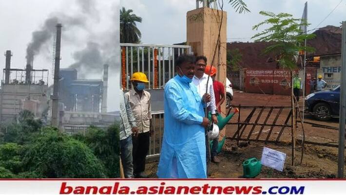 Garh Panchkot hills and medicinal plants affected by the pollution of the sponge iron factory RTB Garh Panchkot hills and medicinal plants affected by the pollution of the sponge iron factory RTB