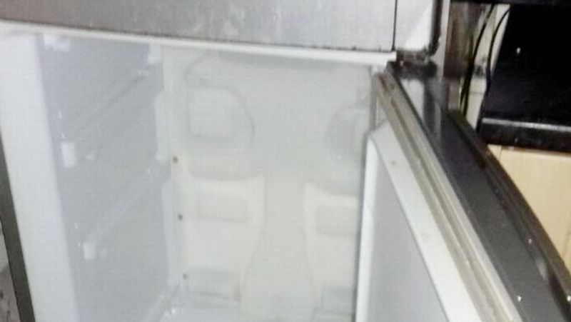 Scotland horror crime woman kept a dog body in freezer