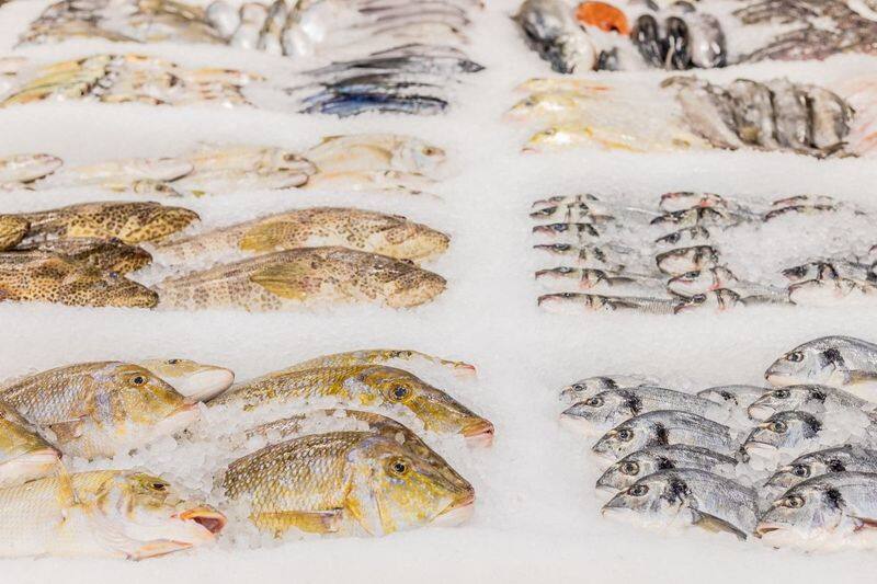 Union Coop buys 650 Tons of Fish Supplies in the Last six months