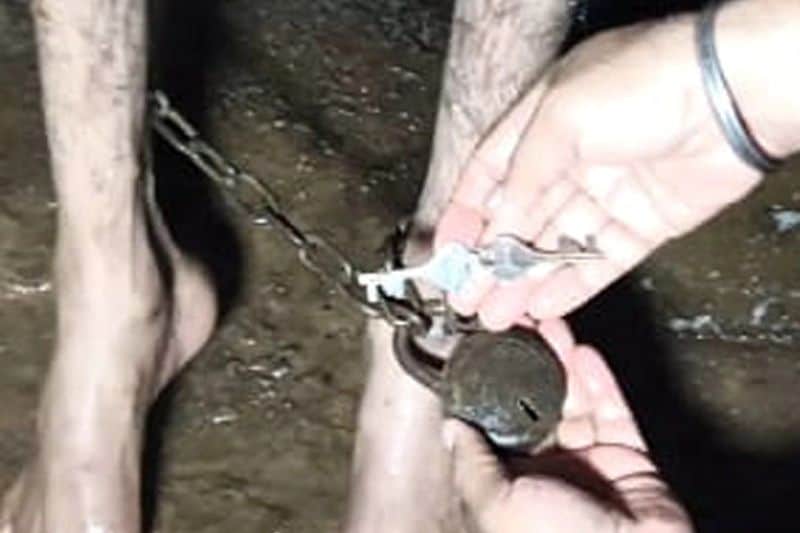 haryana news, family in ambala tied their mentally challenged son with chain for 10 years