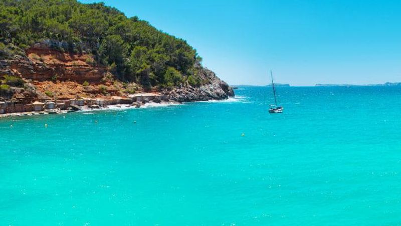 Spain man get his two fingers amputated due to a spider bite in Ibiza