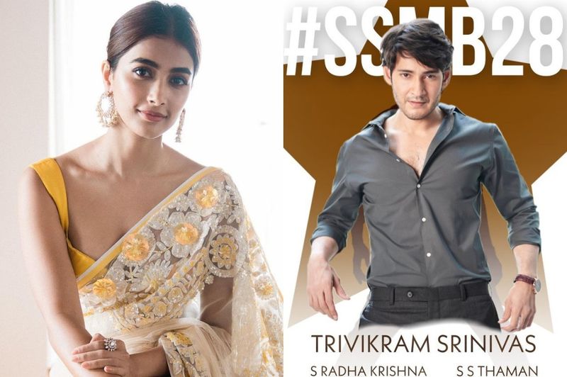 pooja hegde shared cute pics with tighs show and trivikram feel pooja legs golden