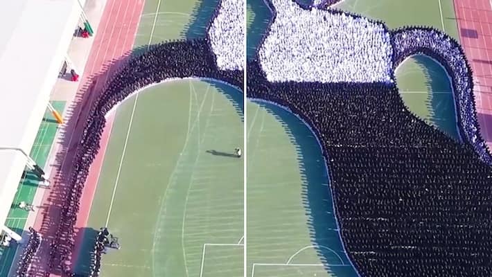 Video of largest transforming human image goes viral; Watch here-tgy Video of largest transforming human image goes viral; Watch here-tgy