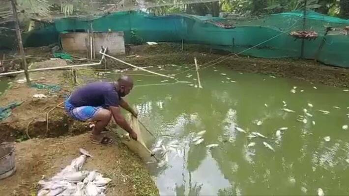 One week before the harvest anti socials complained that the fish farm was destroyed One week before the harvest anti socials complained that the fish farm was destroyed