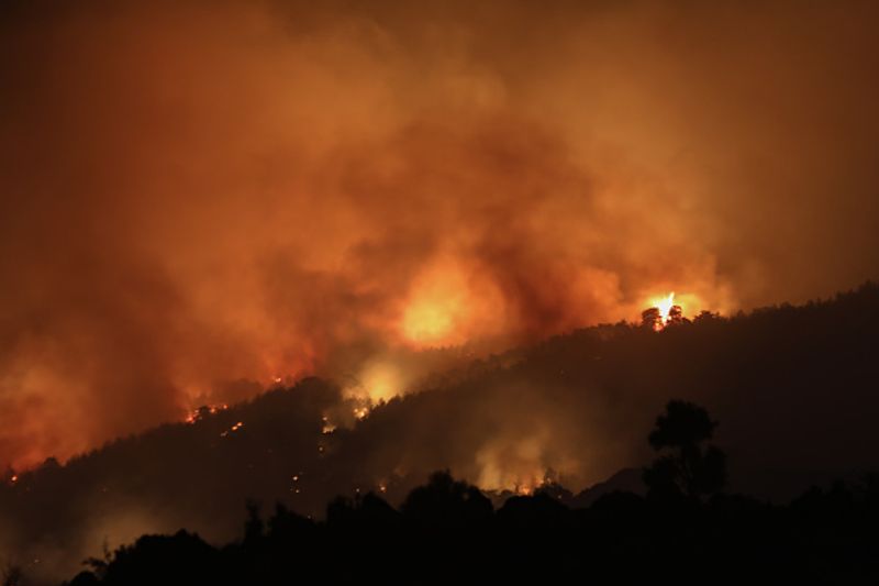 Wildfires spread over five continents