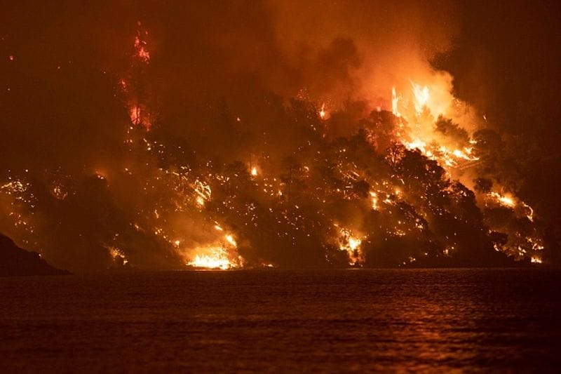 Wildfires spread over five continents