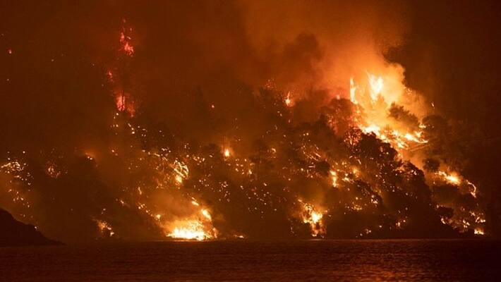 US wildfire pollution linked to more covid 19 cases and deaths US wildfire pollution linked to more covid 19 cases and deaths
