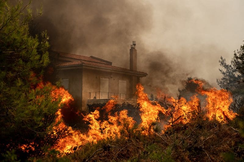 Wildfires spread over five continents