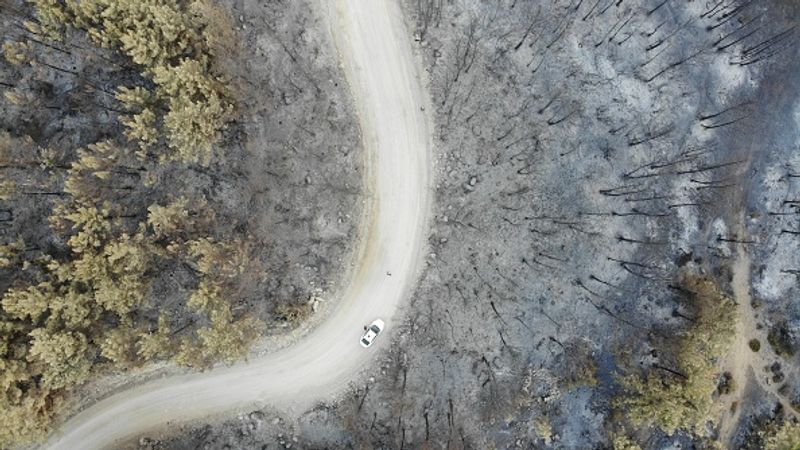 Wildfires spread over five continents