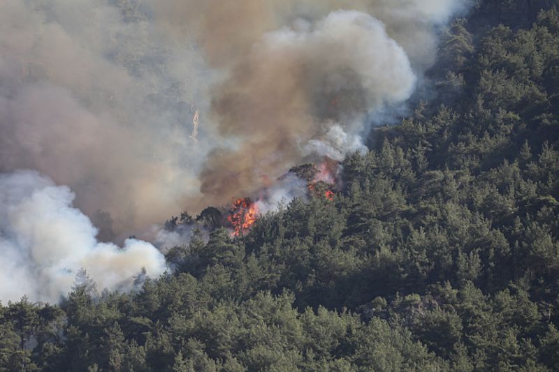 Wildfires spread over five continents