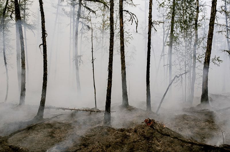 Wildfires spread over five continents