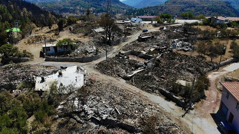 Wildfires spread over five continents