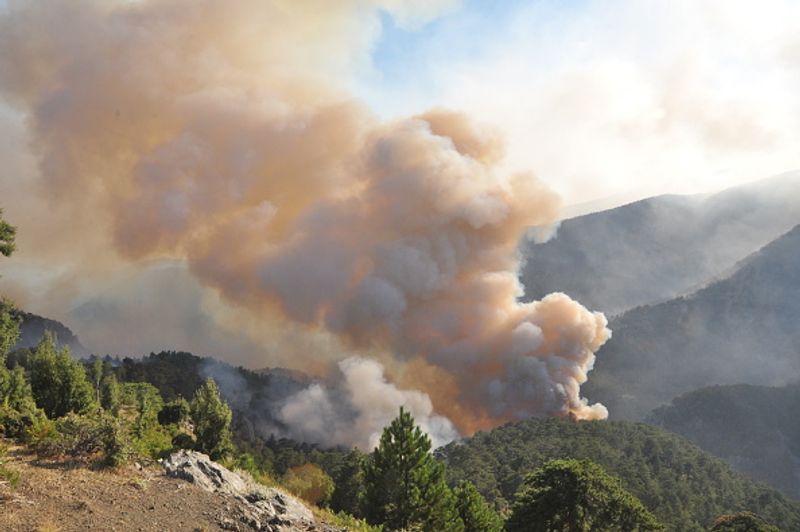 Wildfires spread over five continents