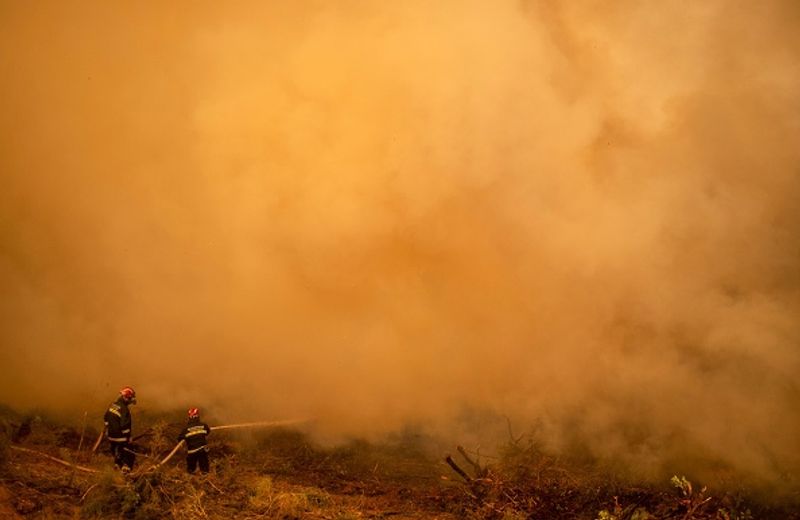 Wildfires spread over five continents