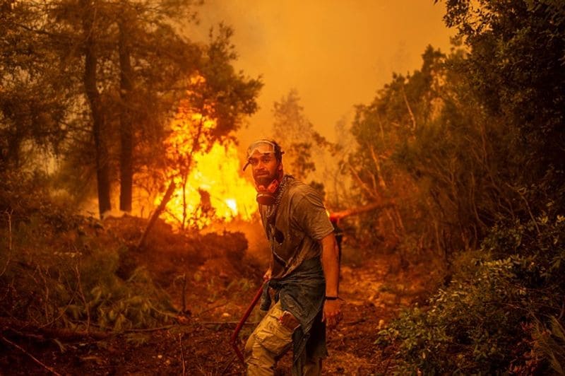 Wildfires spread over five continents