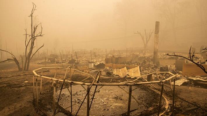 Giant sequoias saved from california wildfire Giant sequoias saved from california wildfire