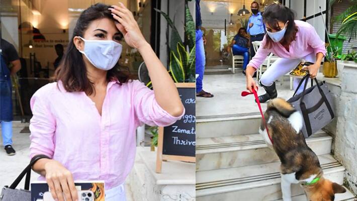 Jacqueline Fernandez shares a lovely picture with her pet dog Jacqueline Fernandez shares a lovely picture with her pet dog