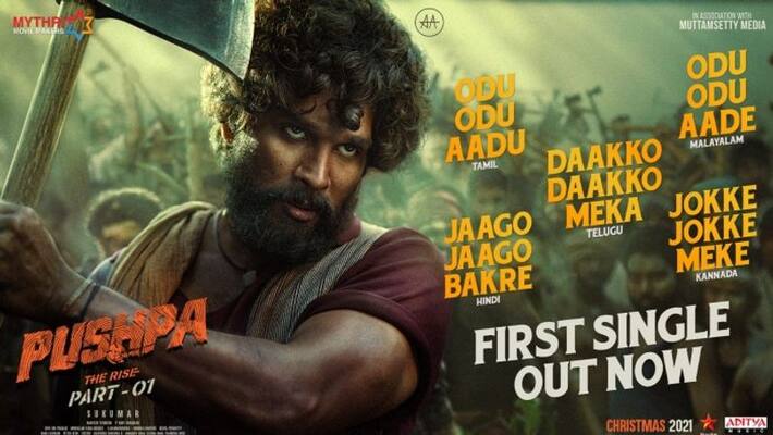 allu arjun pushpa movie first single daakko daakko meka out now allu arjun pushpa movie first single daakko daakko meka out now