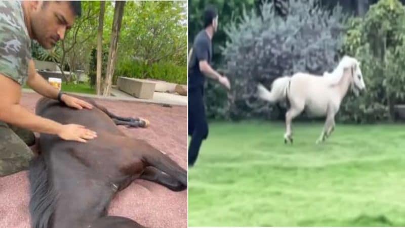 MS Dhoni 1 year of Retirement: see 11 photo when Mahi's news went viral on social media