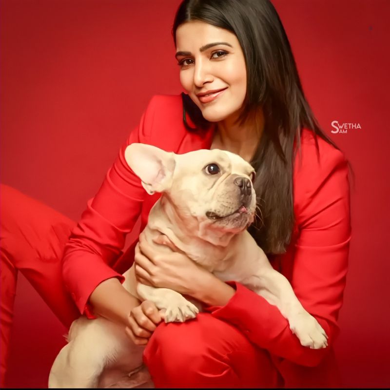 samantha last week night party with friends events and photo shoots with full josh