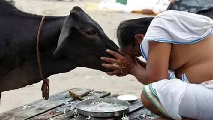 cm shivraj minister Minister Hardeep Singh Dung demanded cow rearing will be mandatory cm shivraj minister Minister Hardeep Singh Dung demanded cow rearing will be mandatory