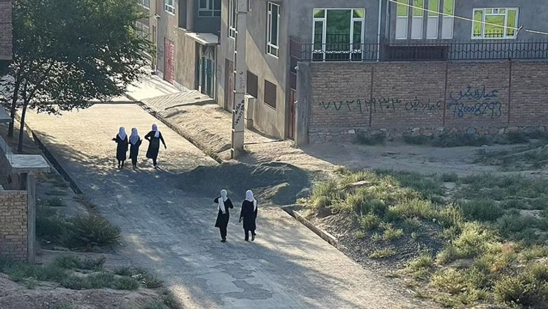 Taliban has started its brutality after the occupation in Kabul
