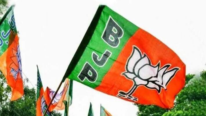 BJP mission UP: Party can field Muslim candidates in 50 seats, plan ready for minority votes BJP mission UP: Party can field Muslim candidates in 50 seats, plan ready for minority votes