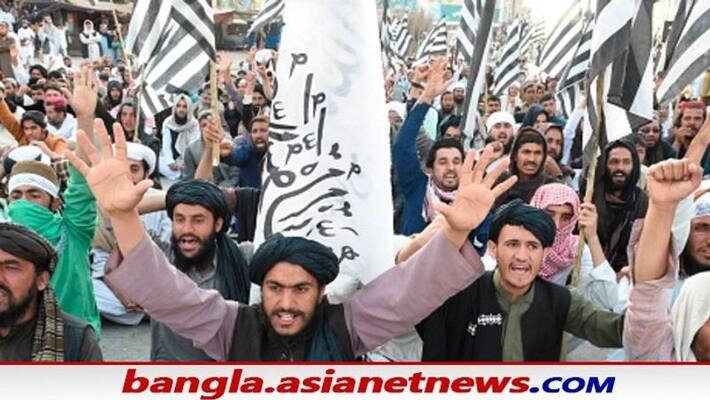Taliban bans co education in Afghanistans Herat province Taliban bans co education in Afghanistans Herat province