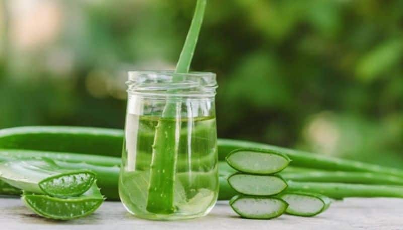 aloe vera face packs for clear and beautiful skin