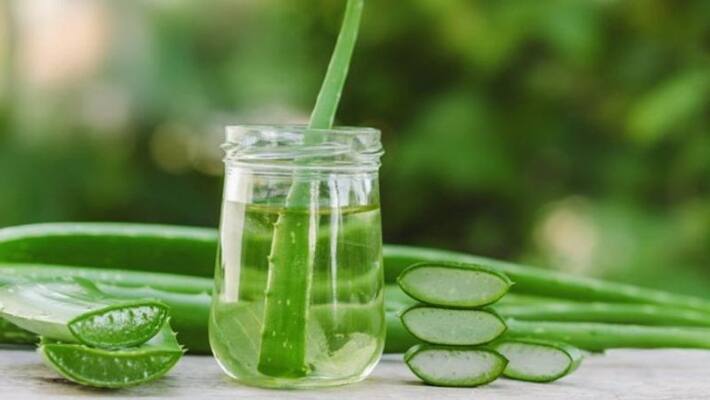 aloe vera can give you stunning beautiful skin bjc aloe vera can give you stunning beautiful skin bjc