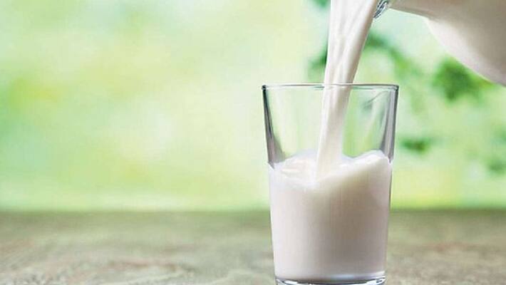 Know about the effective health benefits of milk and fennel mix drink BDD Know about the effective health benefits of milk and fennel mix drink BDD