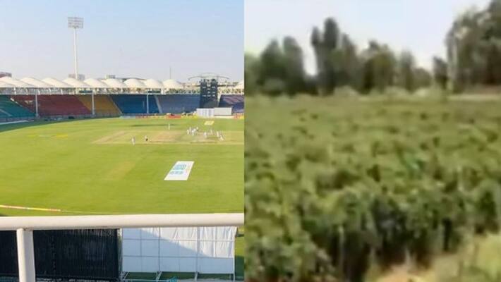 Khanewal cricket stadium in Pakistan use for farming except playing, see viral video Khanewal cricket stadium in Pakistan use for farming except playing, see viral video